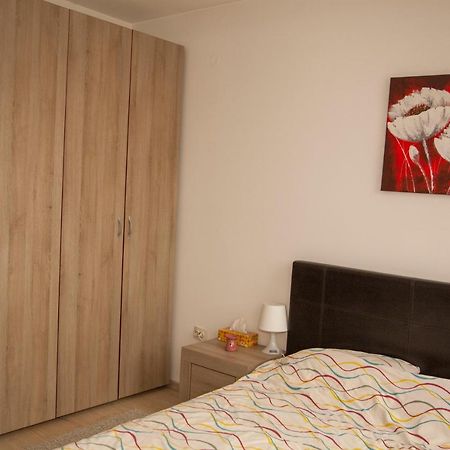Diana'S Apartment Braşov Dış mekan fotoğraf